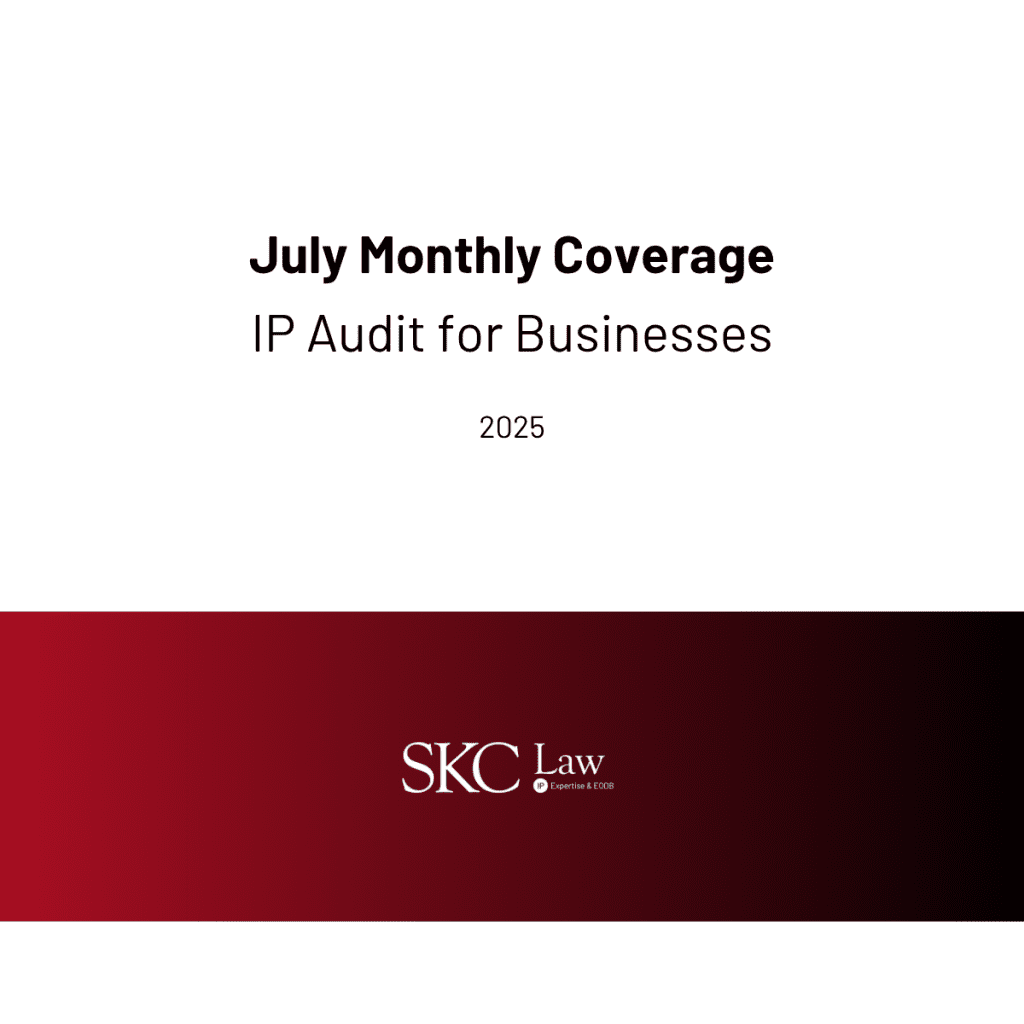 IP Audit for business